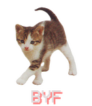 a pink rectangular button. in between two little hearts, it reads BYF (before you follow).